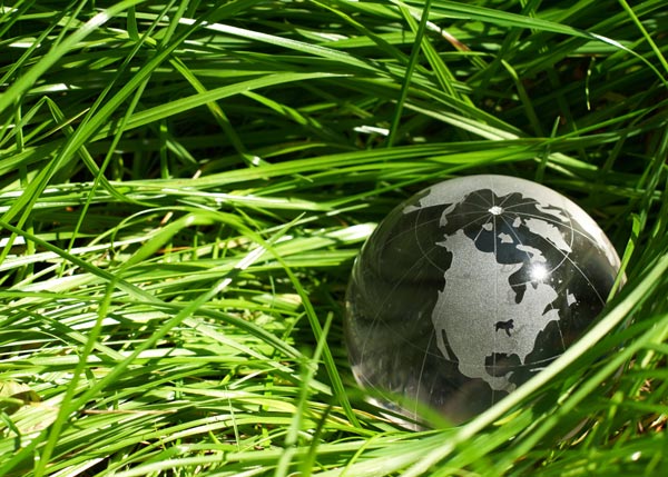 globe in grass